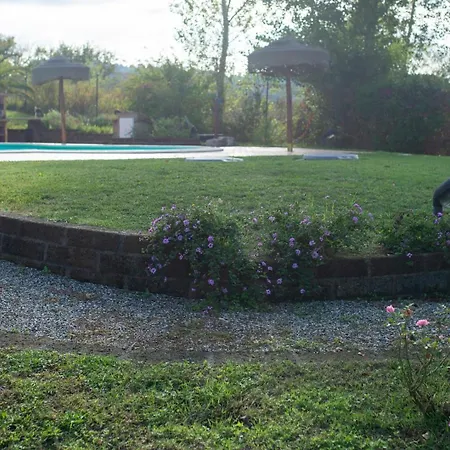 With Private Pool Appartamento Montescudaio